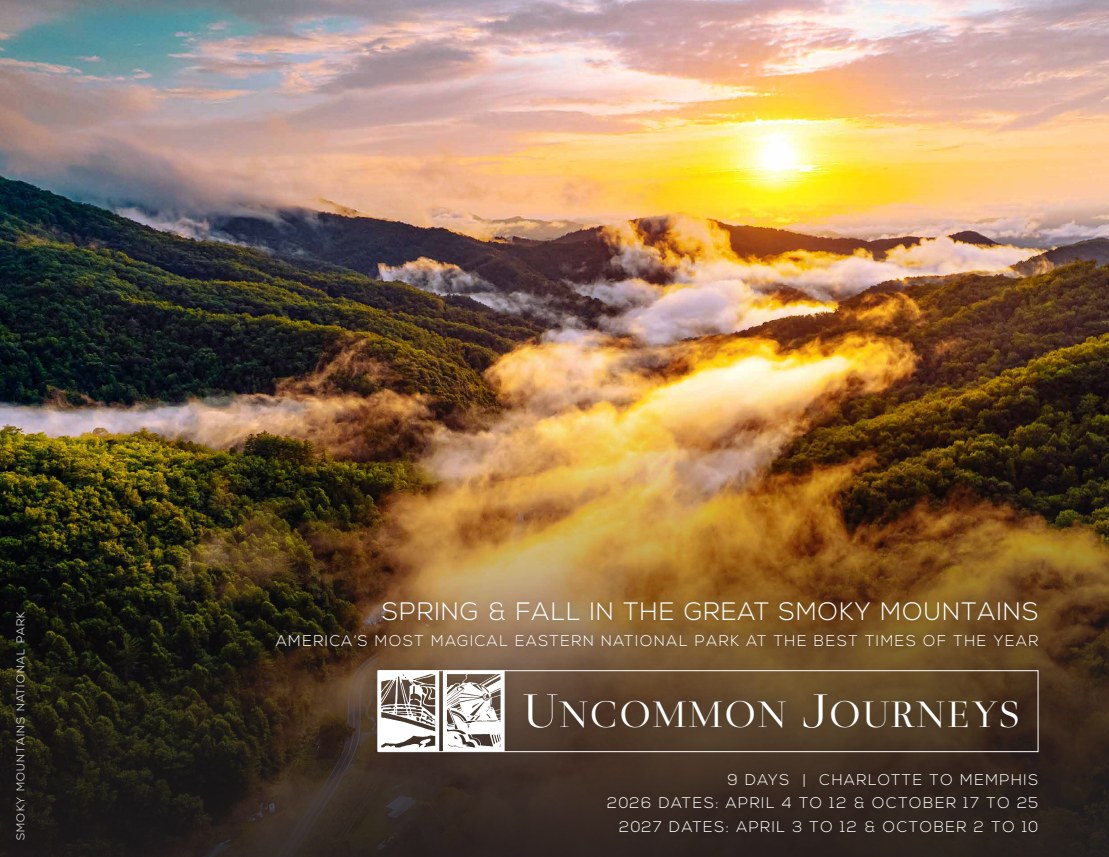 Spring & Fall in the Great Smoky Mountains brochure cover