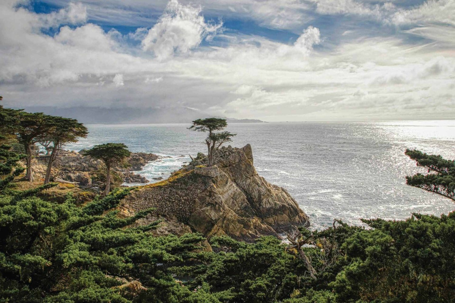 The Lone Cypress overlooking the Pacific on 17-Mile Drive